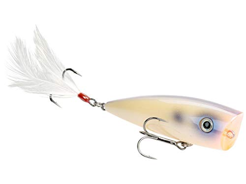 Strike King Junior KVD Splash Hardbait Series Bait - color: Oyster, size: 0.05