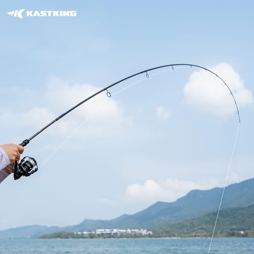 KastKing Spartacus Passage Travel Fishing Rods, Portable 4-Piece Spinning & Casting Rods, Extra Twin-Tip, IM7 Graphite Blanks, Stainless Steel Guides with Zirconium Oxide Rings, EVA Handle - size: 6'6"-M-Moderate Fast(4 Pcs+ Extra Tip), style: Spinning