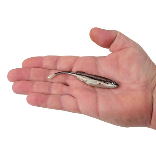Berkley PowerBait Drip Minnow Fishing Soft Bait - color: HD Blacknose Shiner, size: 4"