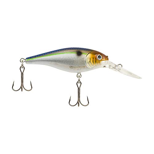 Berkley Flicker Shad Fishing Lure, Blue Smelt, 1/2 oz, 3 1/2in | 9cm Crankbaits, Size, Profile and Dive Depth Imitates Real Shad, Equipped with Fusion19 Hook - color: Blue Smelt, size: 3 1/2in - 1/2 oz