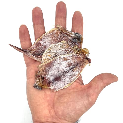 AirFly Folding Fish Measuring Board + Crab Bait – Crabbing Starter Kit