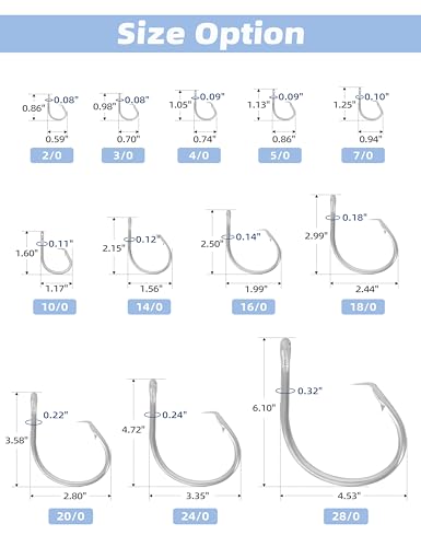 BLUEWING Big Game Circle Hooks Heavy Duty Stainless Steel for Saltwater & Freshwater Fishing - style: Size 02: 3/0, 25pcs