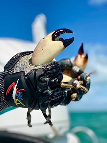 D Vein Lobster Diving Gloves, Cut & Puncture Resistant for Spearfishing - size: Small