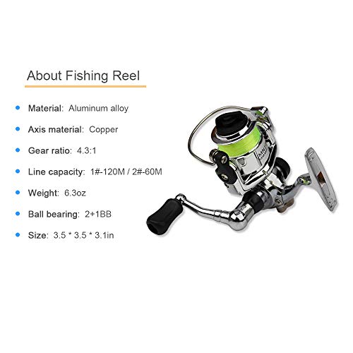 Lixada Fishing Rod Reel Combo Mini Pen Fishing Pole Kit Telescopic Fishing Rod Spinning Reel Combo Kit - color: Black, size: 1.0 m