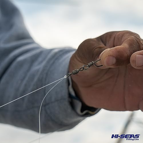 HI-SEAS 100% FLUOROCARBON Fishing LINE Leader - Clear Invisible Leader UNDETECTABLE to Fish, Fast Sinking 6LB-400LB - style: 0.008 in / 0.28 Mm, 6 Lb, 25 Yd