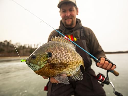 Northland Tackle Rigged Tungsten Pin Fry Ice Fishing Jig with Minnow Fry Body, 2 Pre-Rigged Jig Heads & 3 Extra Ice Fishing Plastics, Tungsten Jig Heads for Panfish, 1/28 Oz, Tiger Beetle
