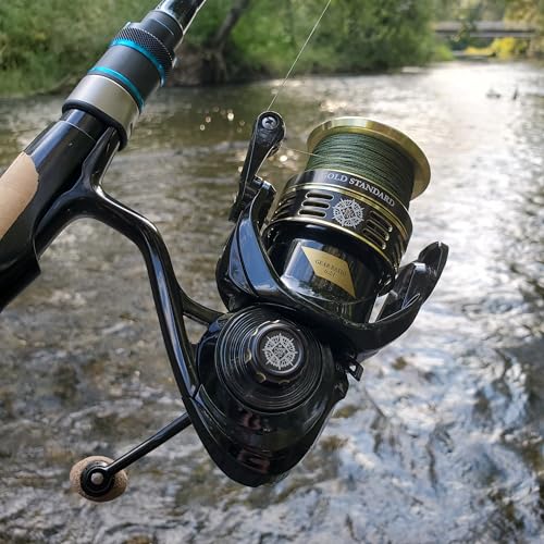 Gold Standard Spinning Reel, Freshwater Saltwater Spinning Fishing Reel Sizes 1000 2500 4000 - size: 1000