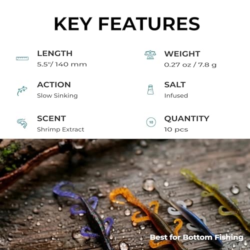 Wild Lizard Soft Lure, 5.5 Inch Scented Creature Bait for Bass Fishing, Active Legs & Tail, Dense Salt Body for Natural Sink, Ideal for Texas & Carolina Rig, 10-Pack - color: Junebug