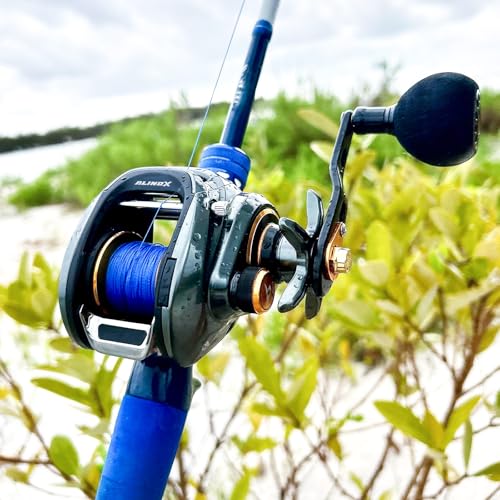 Piscifun Alinox 300 Baitcaster Fishing Reel,Aluminum Frame Baitcasting Reel, 33Lbs Max Drag, Freshwater & Saltwater Low Profile Casting Reel for Musky, Available in 6.6:1/8.1:1 Gear Ratio - color: Black-6.6:1