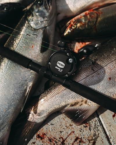 PENN Rival Level Wind Conventional Fishing Reel - size: 30 - Line Counter - Left Hand, style: New Model