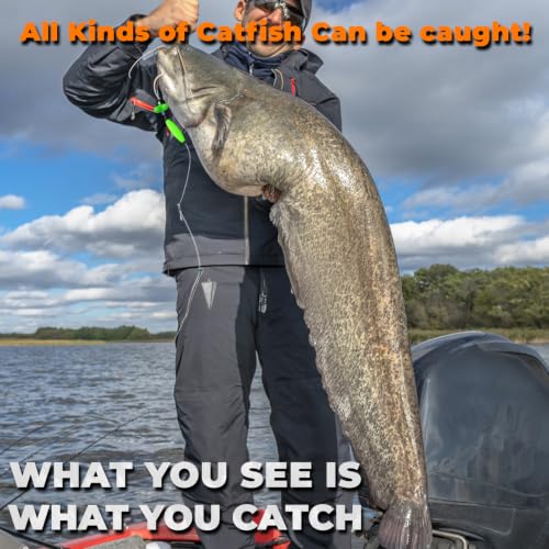 Catfish Rigs Catfish Float Rigs Catfishing Tackle Santee Rig 5/0 6/0 Circle Hooks for Peg Floats Catfish - size: 6/0 HOOK * 6PCS with Weight 2 oz
