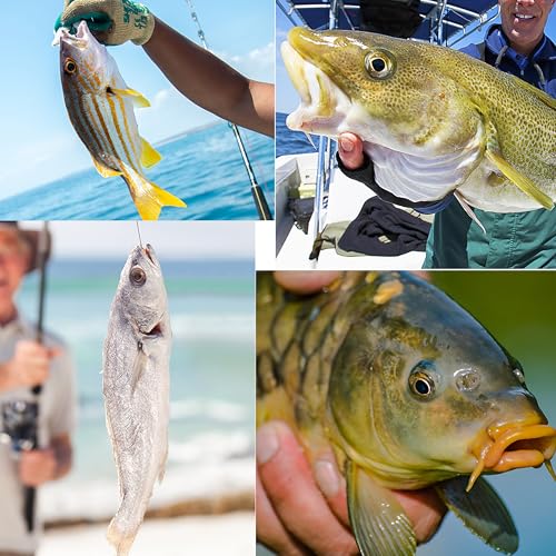 Fishing Weights Sinkers Bank Sinkers Bullet Weights for Surf Fishing Pier Bank Fishing Saltwater Fishing Gear 1oz to 8oz - size: 6 Ounce-8pcs