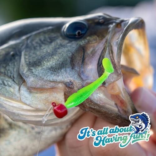 Soft Fishing Lures, 6.5cm/8cm Paddle Tail Swimbaits Soft Plastic Lures Kit for Bass Trout Walleye Crappie 30pcs/40pcs… - color: B-5.5cm/2.16in-50pcs