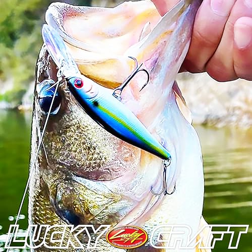 LUCKY CRAFT Pointer 78DD Freshwater Fishing Lure and Gear for Bass & Trout, 3 inch Deep Diving Suspending Jerkbait Fishing Line, Pressure-Ready Fish Bait, Premium Gear for Tackle Box, - color: 272 MS Ghost Minnow