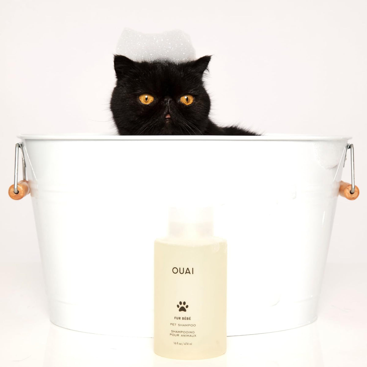 OUAI Fur Bébé Pet Shampoo, Mercer Street Scent - Dog Shampoo and Coat Wash for Hydrating, Cleansing and Adding Shine - Pet Supplies by OUAI (16 Fl Oz)
