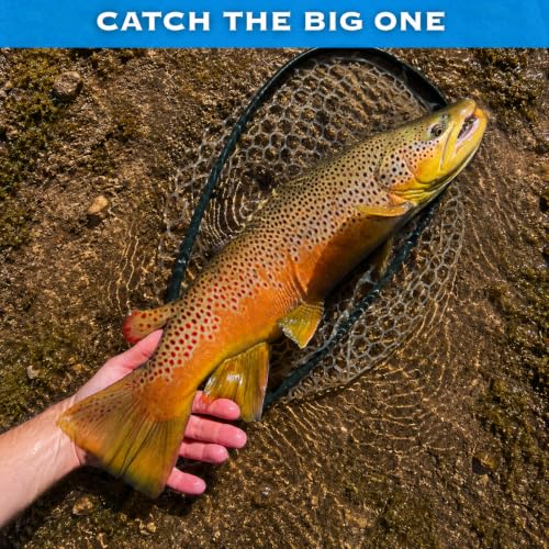 Woolly Bugger Fly Fishing Flies Assortment - Beadhead Streamer Wet Flies for Trout Bass Panfish - Hand-Tied Marabou Streamers for Rivers Lakes - size: 6 Pack – Size 10