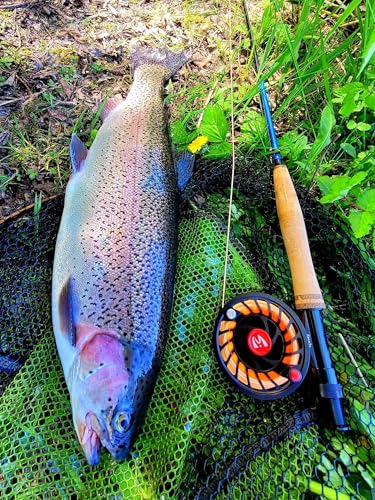 Maxcatch Extreme-X Fly Fishing Rod and Reel Combo, 3-8wt Complete Starter Fishing Outfit with Fly Box, Flies, Rod Clip Holder, Rod Case, Extra Tip Section - size: 3wt-8'4'' 4pc Rod, 3/4wt Reel