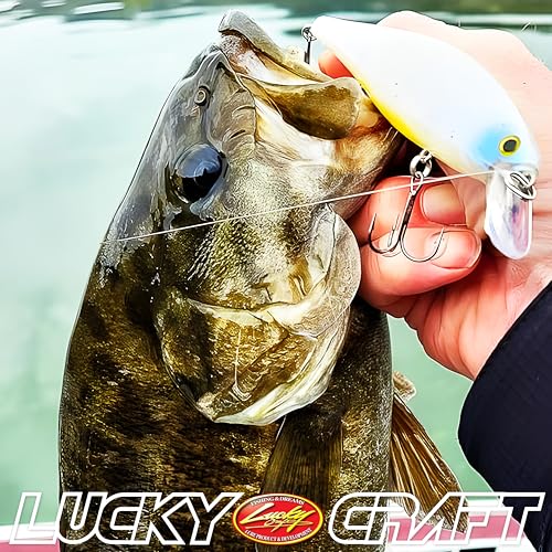 LUCKY CRAFT Pointer 128SP, Freshwater Lake Bass Fishing Lure, Jerkbait, Suspending, Fishing Gear, Fishing Accessories, Fishing Tackle - color: 325 Zebra Aurora Black