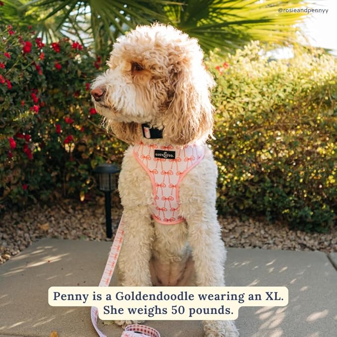 Lucy & Co. Cute Reversible Dog Harness Walking Halter - Best Designer Pet Harnesses for XS - XL Dogs - Padded Adjustable Vest for Easy Walking (Medium, Ballet Bows - White & Pink Bows)