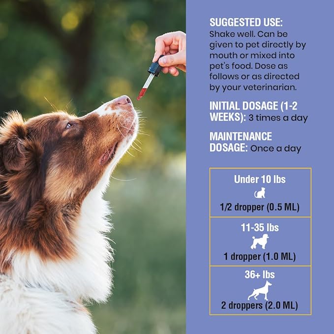 Cough Support for Dogs & Cats, Dry and Wet, Respiratory & Cold, Made in USA, 2oz