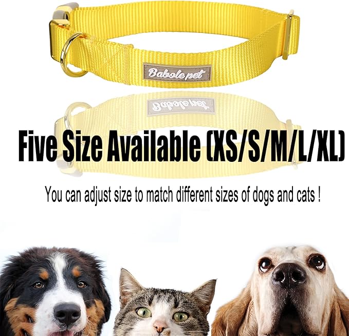 Nylon Dog Collar - Adjustable Yellow Soft Webbing Dog Collars for Small Medium Large Dogs Boy Girl Puppy Collar with Safety Metal Buckle XS