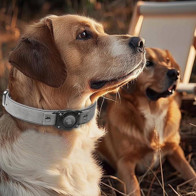 AirTag Dog Collar - Leather Dog Collar with Air Tag Holder | IPX8 Waterproof, Reflective, High - End, Adjustable Soft Padded | Dog GPS Tracker Collars Fit for Medium Large Dogs (Grey, L)