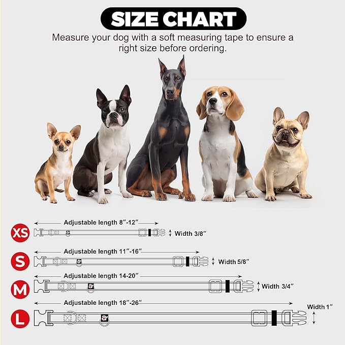 azuza Reflective Dog Collar,Soft Neoprene Padded Pet Collar with ID Tag Ring,Adjustable for Large Dogs,Sky Blue,L