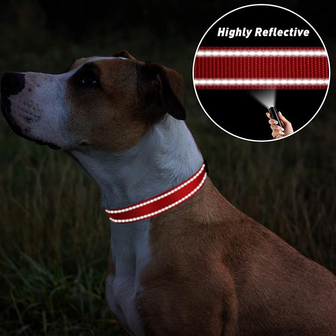 TagME Reflective Nylon Dog Collars, Adjustable Classic Pet Collar with Quick Release Buckle for Small Dogs, Red, 5/8" Width