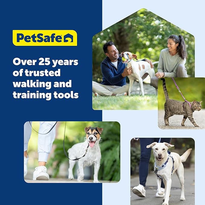 PetSafe Gentle Leader Headcollar No-Pull Dog Collar - Helps Improve Walks - Durable Nylon Construction - Padded Nose Loop - Adjustable Fit - Comfort Walking Halter - Small, Raspberry Pink