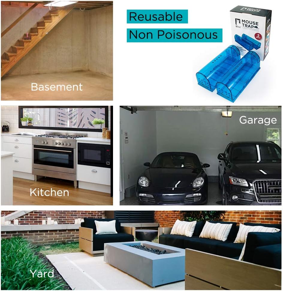 Humane Mouse Trap | Catch and Release Mouse Traps That Work | Mice Trap No Kill for mice/Rodent Pet Safe (Dog/Cat) Best Indoor/Outdoor Mousetrap Catcher Non Killer Small Capture Cage (Blue)