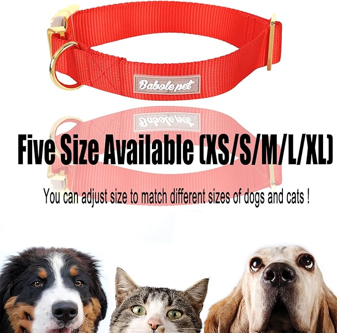 Nylon Dog Collar - Adjustable Red Soft Webbing Dog Collars for Small Medium Large Dogs Boy Girl Puppy Collar with Safety Metal Buckle XS