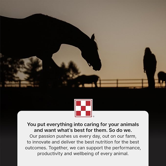 Purina | RepleniMash™ Product | Horse Mash (7 lb)