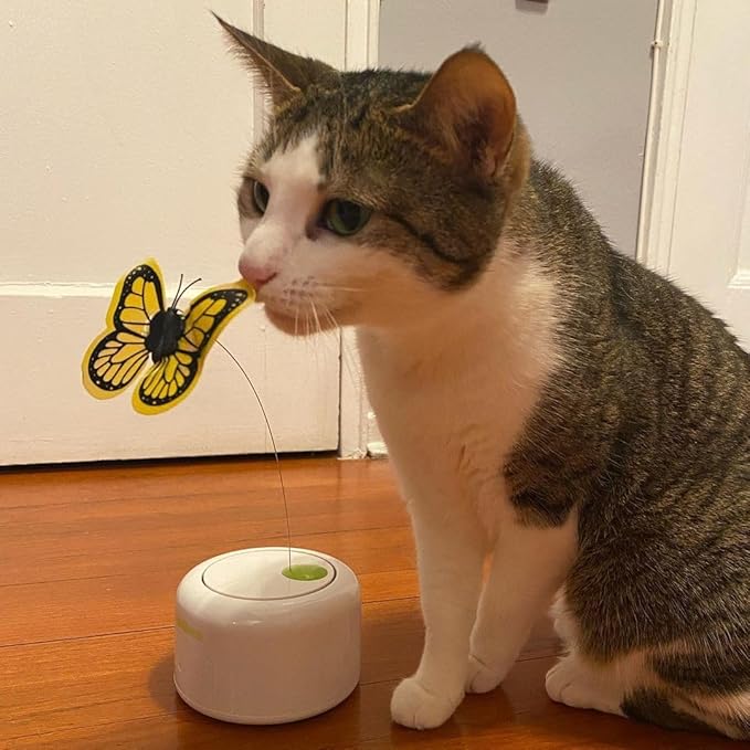 ALL FOR PAWS Motion Activate Cat Toys Interactive Flutter Butterfly Kitten Enrichment Toy with One Replacement for Indoor Cats