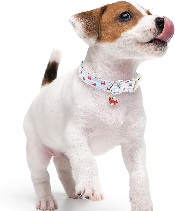 Faygarsle Cute Crab Pattern Dog Collar, Cotton Fabric, Light Blue Stripes, for Small Medium Large Dogs S