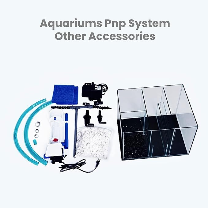 80G 80 Gallon Starfire Rimless SC Aquariums 32x24x24 12mm Pnp System with Black Wood Cabinet