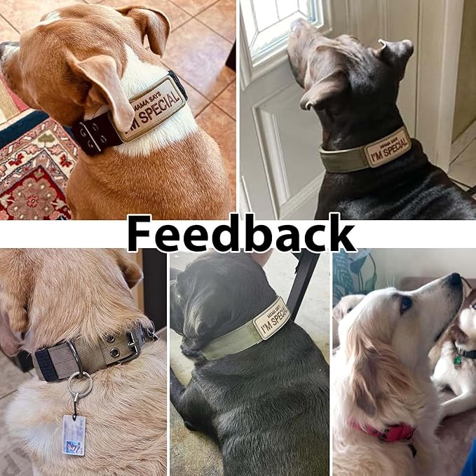 Tactical Dog Collar Military Adjustable Dog Collars Soft Nylon Training Collar with Patch Heavy Duty Metal Buckle Collars for Medium Large Dogs (Green, L)