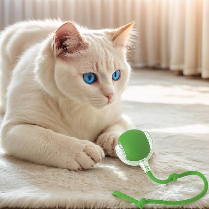 Cat Toys Cat Toys for Indoor Cats Interactive Cat Toys Smart Obstacle Avoidance Cat Ball Indoor Cat Boredom Interactive Toys (Grizzly)