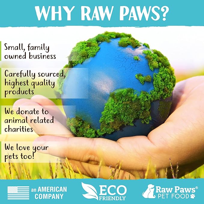 Raw Paws Catnip & Silvervine Lollipops Interactive Cat Toy (6 Pack) - Silvervine Sticks for Cats - Catnip Ball Toy - Fresh Cat Nip - Silver Vine Dental Sticks