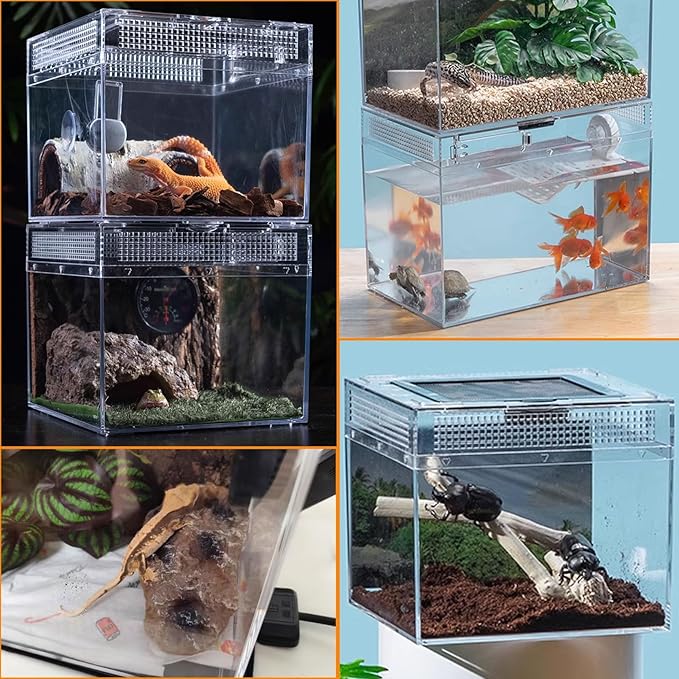 Reptile Terrarium, Jumping Spider Enclosure Starter Kit, Leopard Gecko Habitat Container, 8"x8"x6"Reptile Tank for Tarantula, Hermit Crab, Insect, Fish, Frog, Small Bearded Dragon, Lizard