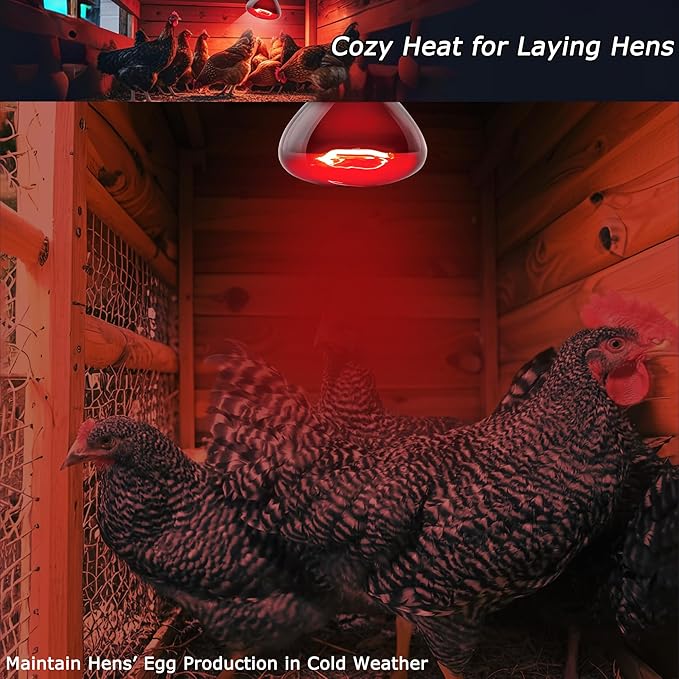 Reptile Red Heat Bulb 75W – Infrared Night Lamp for Lizards and Snakes, 2000H Lifespan, E26 Socket