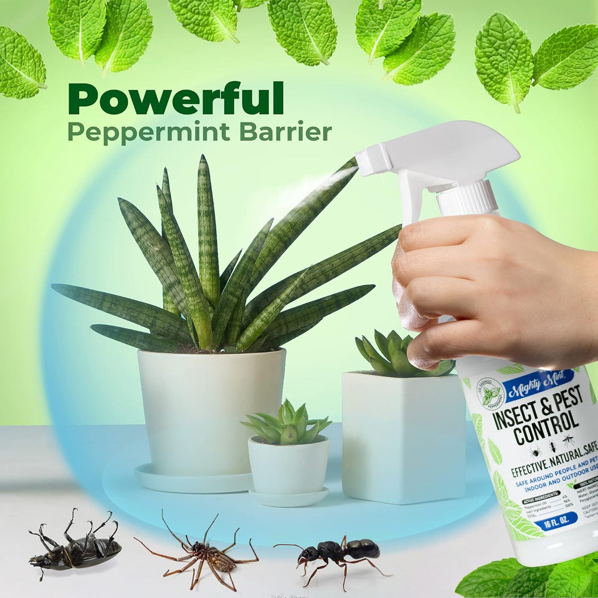 Mighty Mint Peppermint Oil Insect Repellent Spray – Natural Indoor & Outdoor Bug Control for Spiders, Ants, Roaches, and More – Plant-Based, Extra-Strong Formula - 16 oz