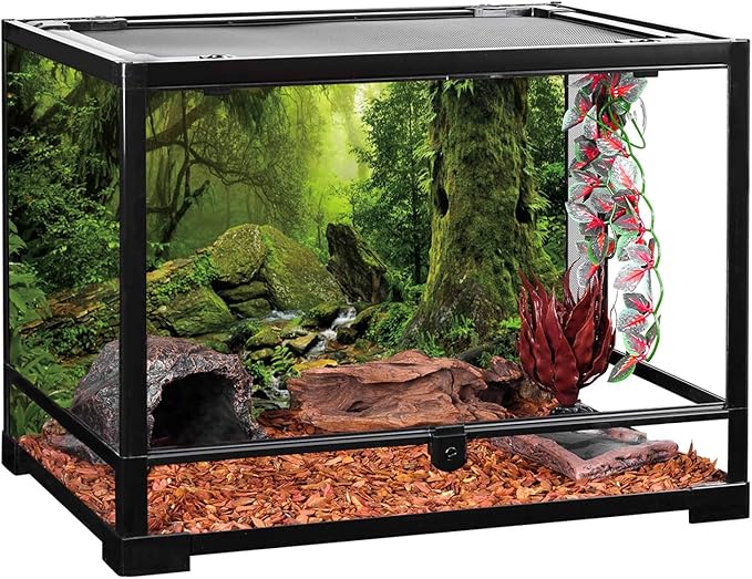 AWERT Tropical Forest Terrarium Background Stream Green Huge Tree Reptile Habitat Background Foggy Rainforest Aquarium Background 36x20 inches Durable Polyester Background