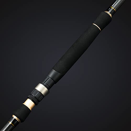 BERRYPRO Light Surf Spinning Rod Striper Fishing Rod Striped Bass surf Rod (9'/9'6''/10'6''/11'/12') - style: 11'- 2pc