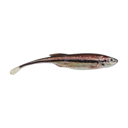 Berkley PowerBait Drip Minnow Fishing Soft Bait - color: HD Blacknose Shiner, size: 5"