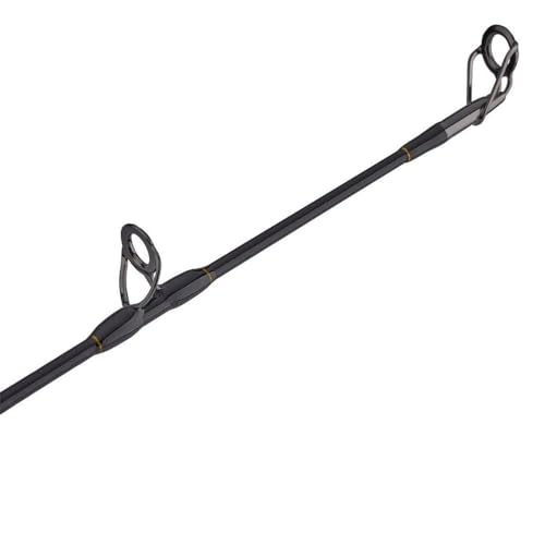 Penn Squall II Lever Drag Fishing Rod & Reel Combo - size: 30 Size Reel - 7' - Medium
