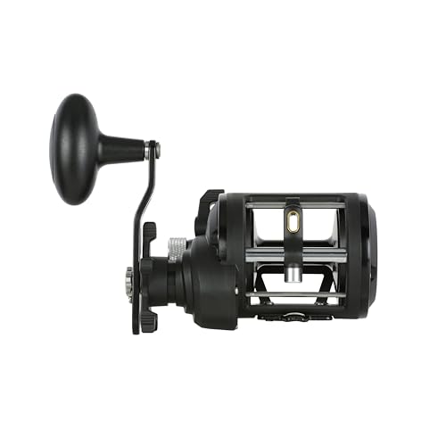 PENN Rival Level Wind Conventional Fishing Reel - size: 30, style: New Model