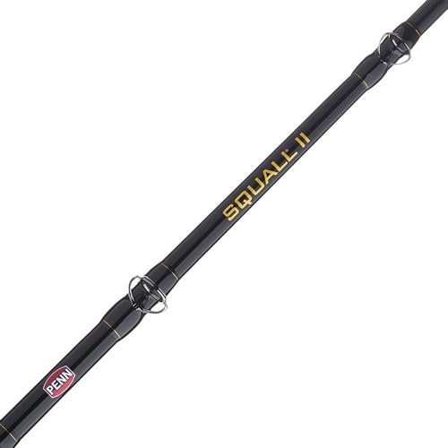 Penn Squall II Lever Drag Fishing Rod & Reel Combo - size: 40 Size Reel - 7' - Medium