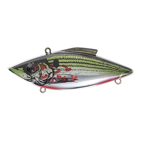 Bill Lewis Fishing-topwater-Lures-and-crankbaits - color: Chrome Bleeding Shad