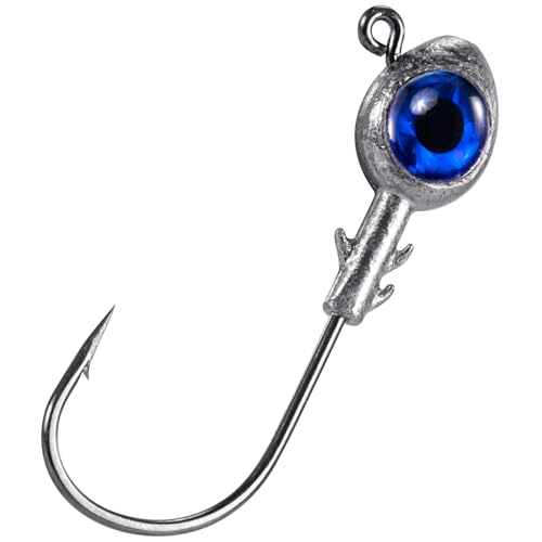 Dr.Fish 10 Pack Fishing Eyes Jigs 3D Eyes Trout Heads Bass Hook Saltwater Swimbait Jig Heads Freshwater Walleye Redfish Striper 1/2oz 3/8oz 1/4oz 3/16oz - color: Blue Eyes, size: 1/2oz-Hook #5/0