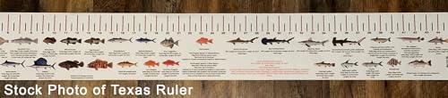STATE COASTAL FISH RULER with FISH ID and FISHING REGULATIONS - 50 INCH RULER DECALS - style: Alabama